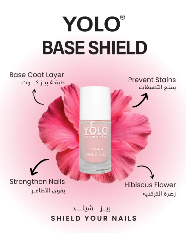 Base Shield - Image 2