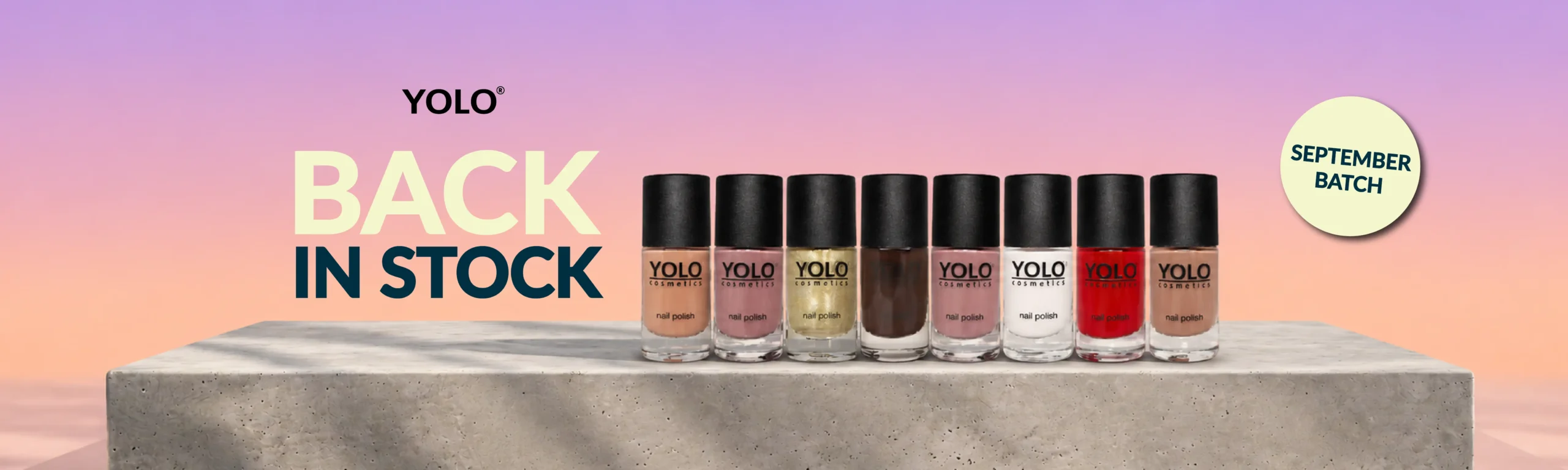 back in stock website banner_10